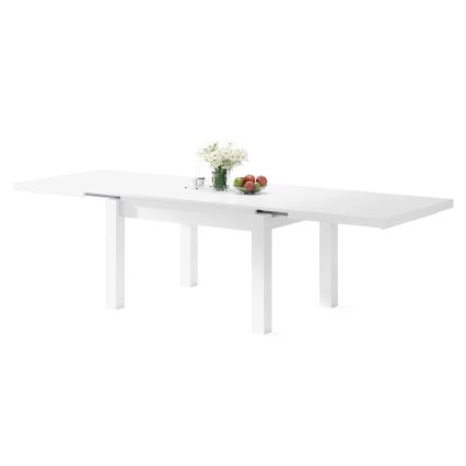Table à manger extensible pour 12 personnes RALF 120/270x90 cm blanche