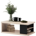 Table basse LORA avec étagère et espace de rangement, beige/noir