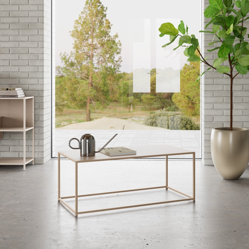 Table basse SARON 100 x 50 cm, gris