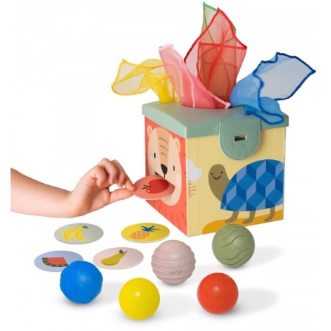 Taf Toys - Boîte de jeu interactive MAGIC BOX