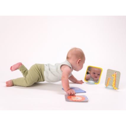 Taf Toys - Cartes Tummy Time 18 pcs