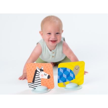 Taf Toys - Cartes Tummy Time 18 pcs