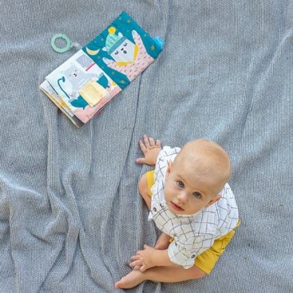 Taf Toys - Livre en textile pour enfant ourson