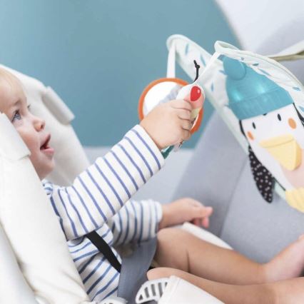Taf Toys - Play & Kick voiture jouet pingouin 3xAA