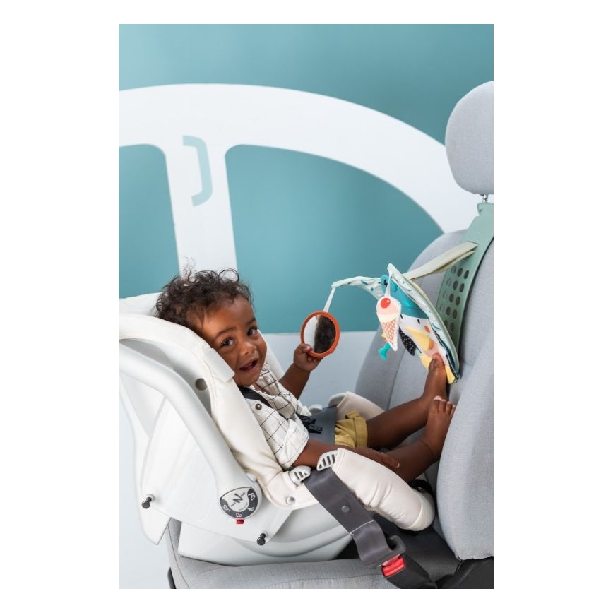 Taf Toys - Play & Kick voiture jouet pingouin 3xAA