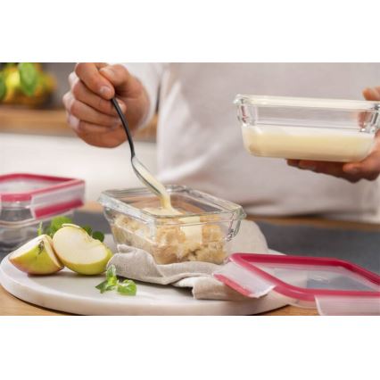 Tefal - Boîte alimentaire 0,45 l MSEAL GLASS rouge/verre