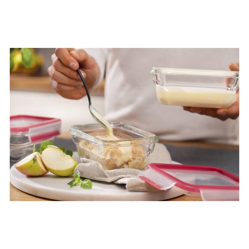 Tefal - Boîte alimentaire 0,45 l MSEAL GLASS rouge/verre