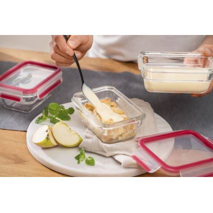 Tefal - Boîte alimentaire 1,1 l MSEAL GLASS rouge/verre