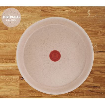 Tefal - Ensemble de 17 pièces INGENIO DELIGHT