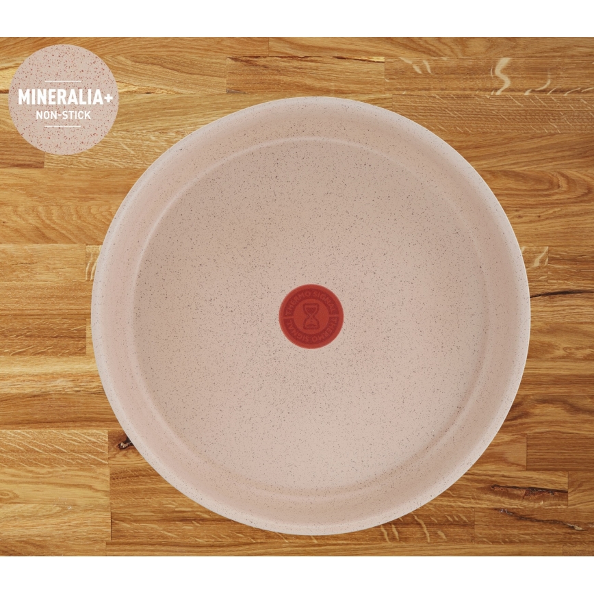 Tefal - Ensemble de 17 pièces INGENIO DELIGHT