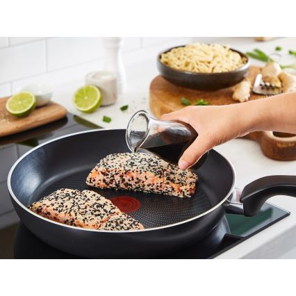 Tefal - Ensemble de 2 poêles GENEROUS