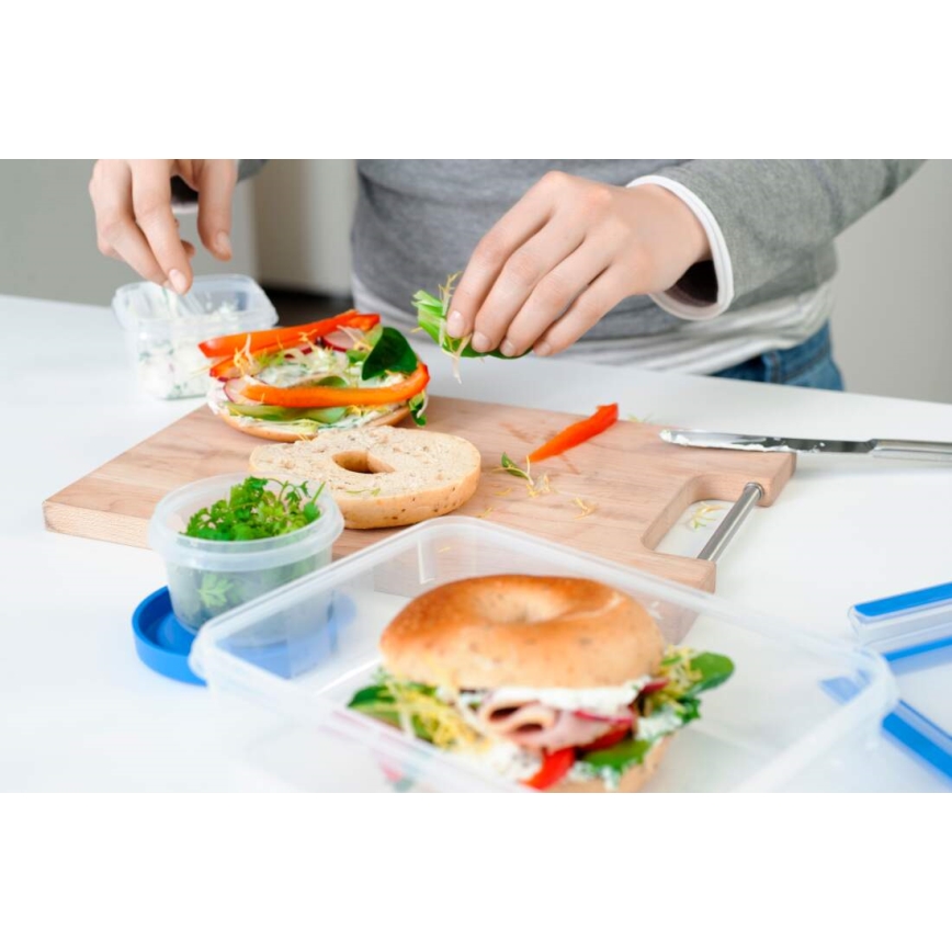 Tefal - Ensemble de 5 boîtes alimentaires MASTER SEAL FRESH, bleu