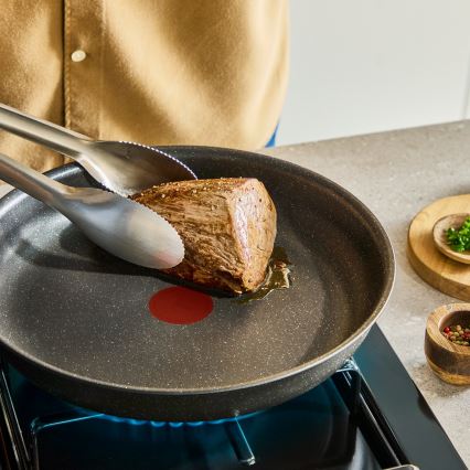 Tefal - Ensemble de batterie de cuisine INGENIO Expertise 12 pièces