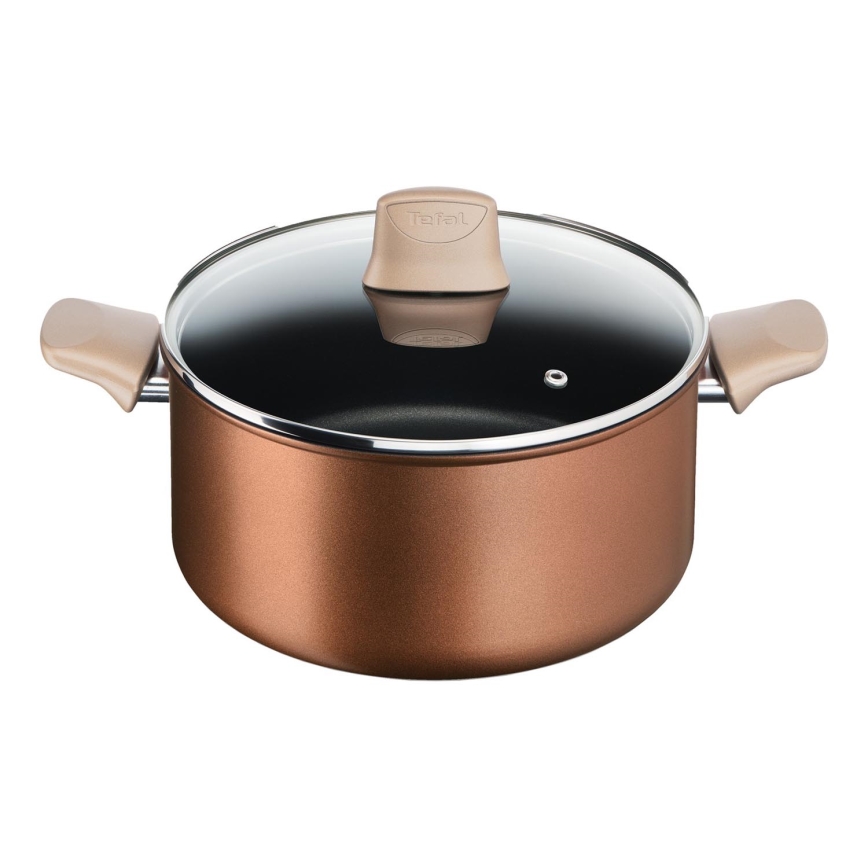Tefal - Marmite avec couvercle RESPECT Ø 24 cm