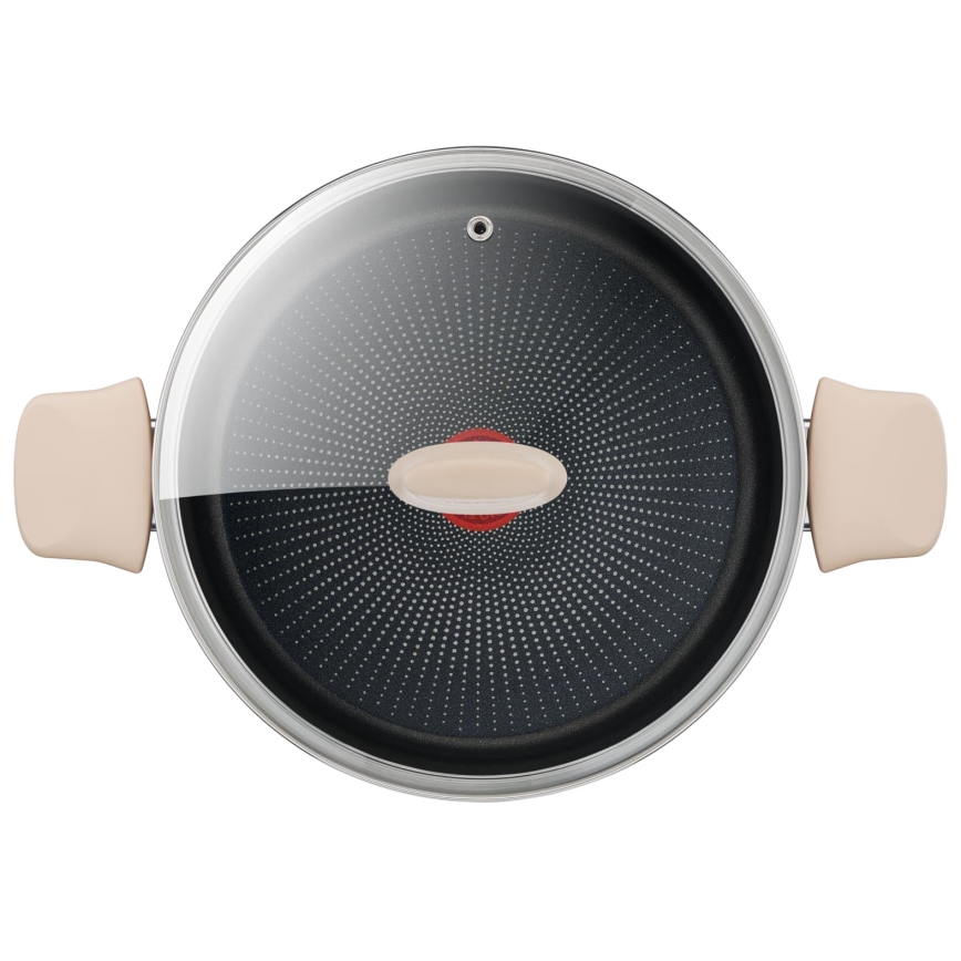 Tefal - Marmite avec couvercle RESPECT Ø 24 cm