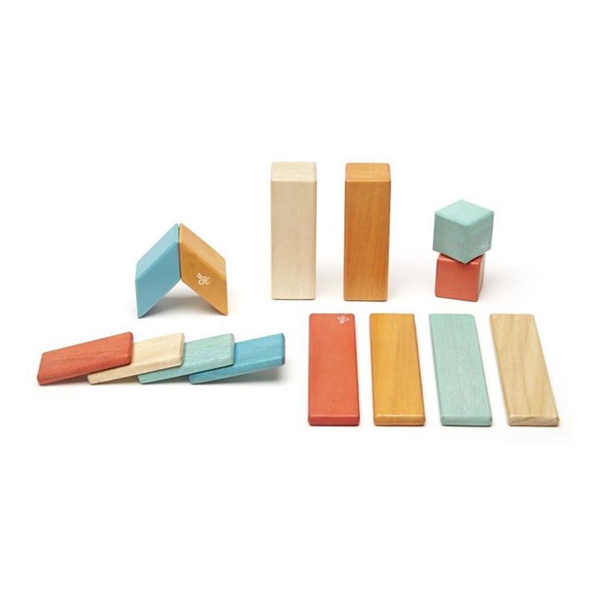 Blocs de construction magnétiques de Tegu  24 blocs de construction  magnétiques en bois pour enfants –