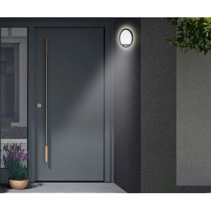 Telefunken 313705TF - Apllique murale d’extérieur LED avec détecteur LED/15W/230V IP44