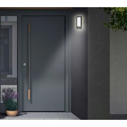 Telefunken 313905TF - Applique murale d'extérieur avec détecteur LED/16W/230V IP44