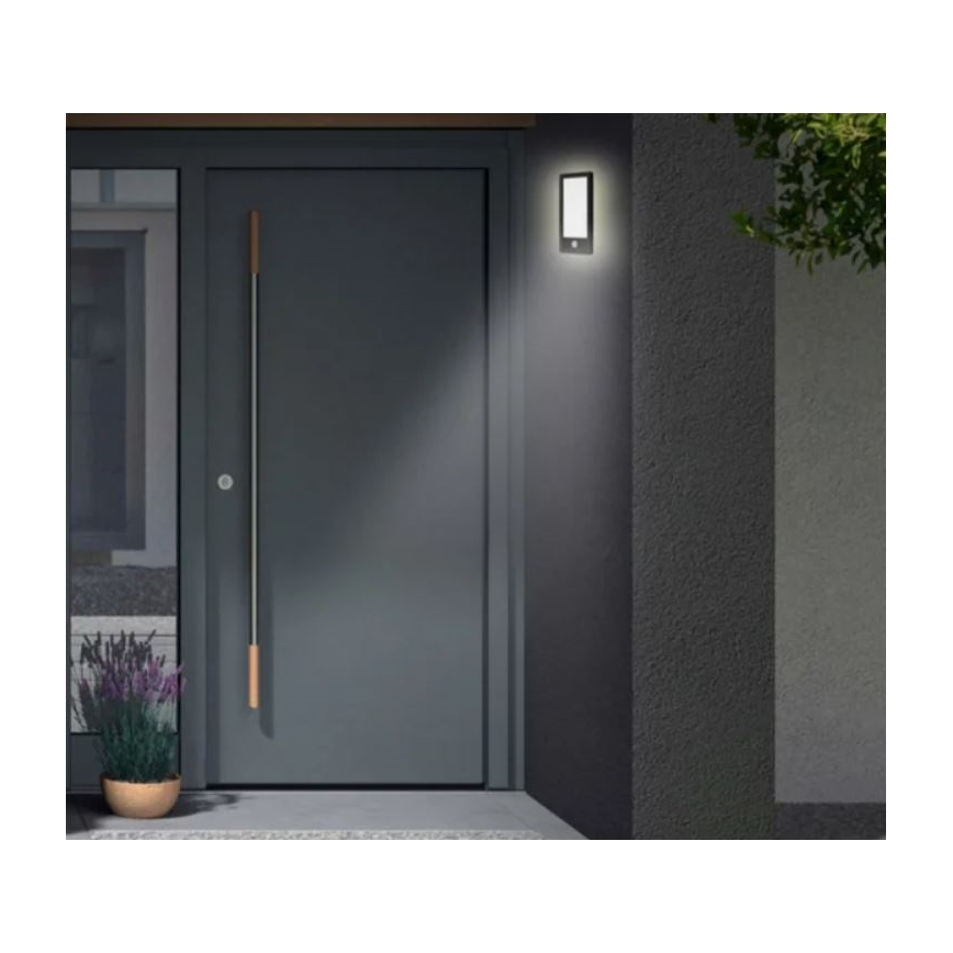 Telefunken 313905TF - Applique murale d'extérieur avec détecteur LED/16W/230V IP44