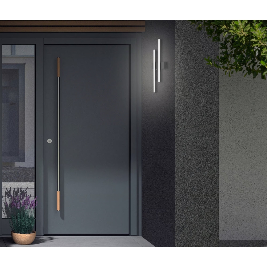 Telefunken - Applique murale LED d'extérieur 2xLED/4W/230V 4000K IP44 noir