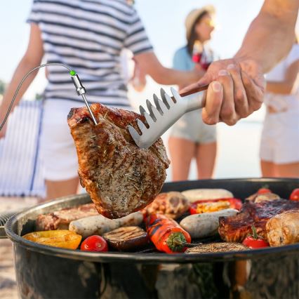 TESLA Electronics Cook - Thermomètre numérique pour viande avec sonde 0-400 °C, 2xAA, IP65