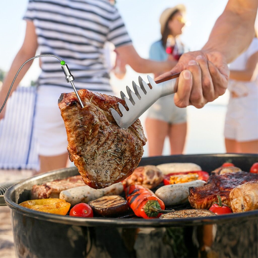 TESLA Electronics Cook - Thermomètre numérique pour viande avec sonde 0-400 °C, 2xAA, IP65