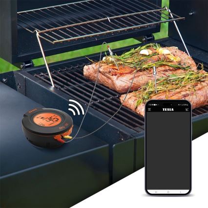 TESLA Electronics Cook - Thermomètre numérique pour viande avec sonde 0-400 °C, 2xAA, IP65