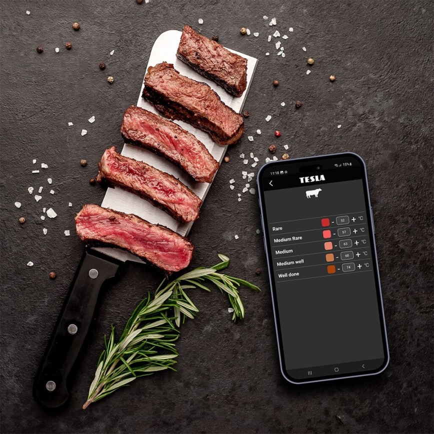 TESLA Electronics Cook - Thermomètre numérique pour viande avec sonde 0-400 °C, 2xAA, IP65
