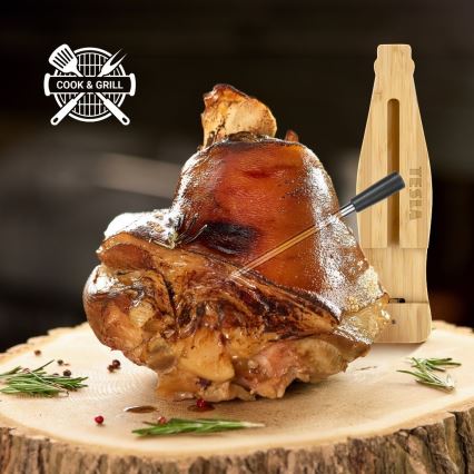 TESLA Electronics - Thermomètre à viande connecté avec base de charge 0-300 °C 5V IP67