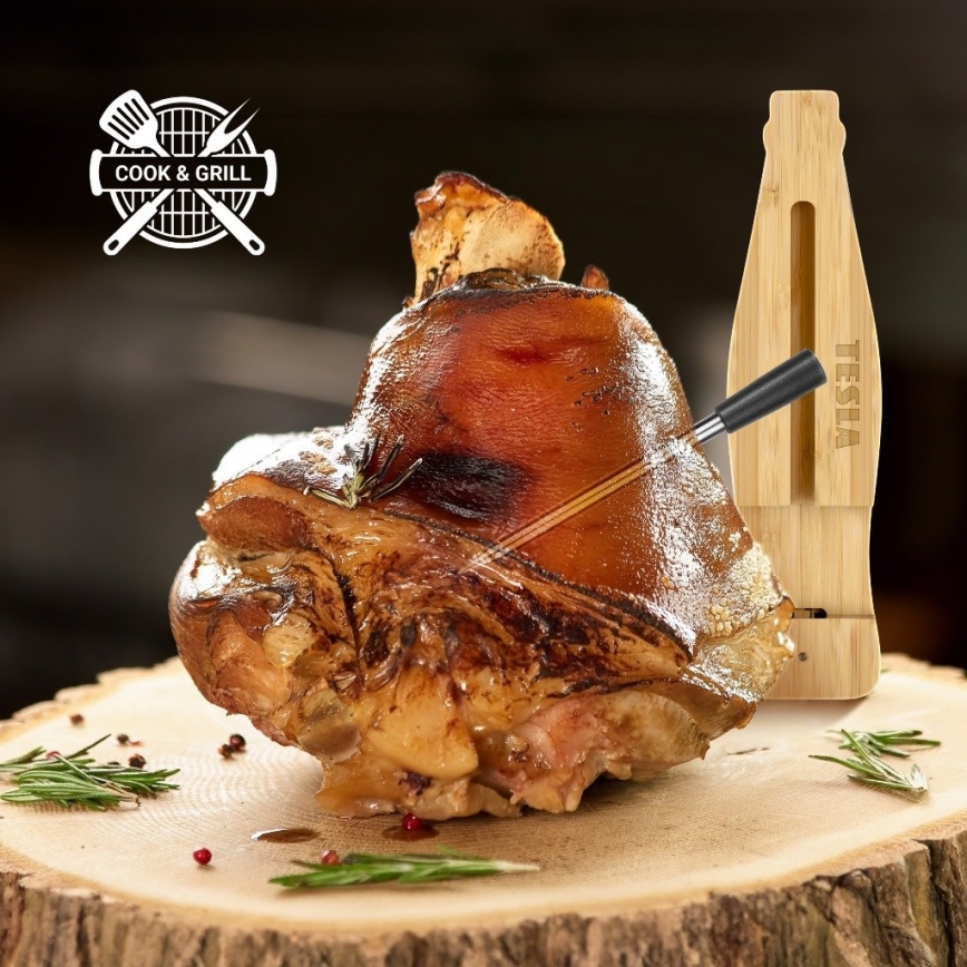 TESLA Electronics - Thermomètre à viande connecté avec base de charge 0-300 °C 5V IP67