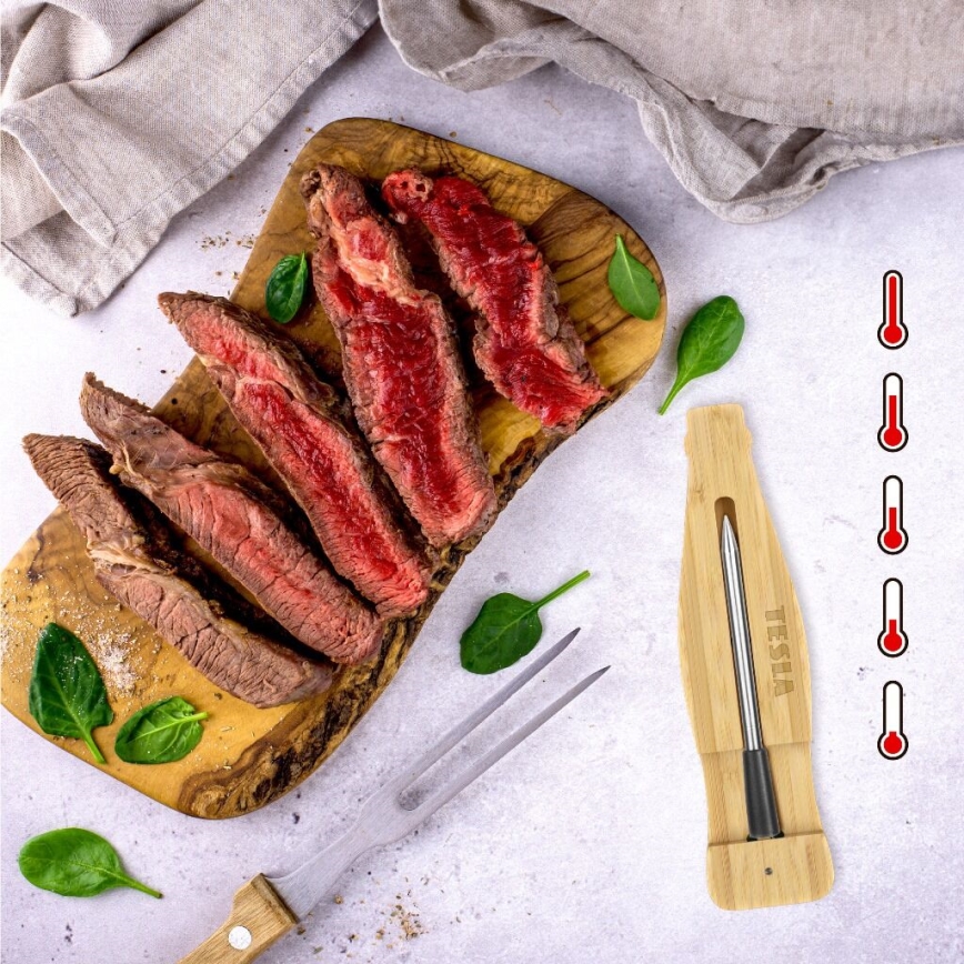 TESLA Electronics - Thermomètre à viande connecté avec base de charge 0-300 °C 5V IP67