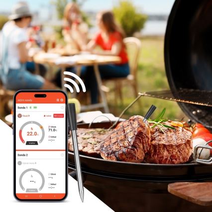 TESLA Electronics - Thermomètre à viande connecté avec base de charge 0-300 °C 5V IP67