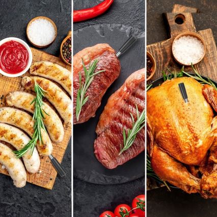 TESLA Electronics - Thermomètre à viande connecté avec base de charge 0-300 °C 5V IP67