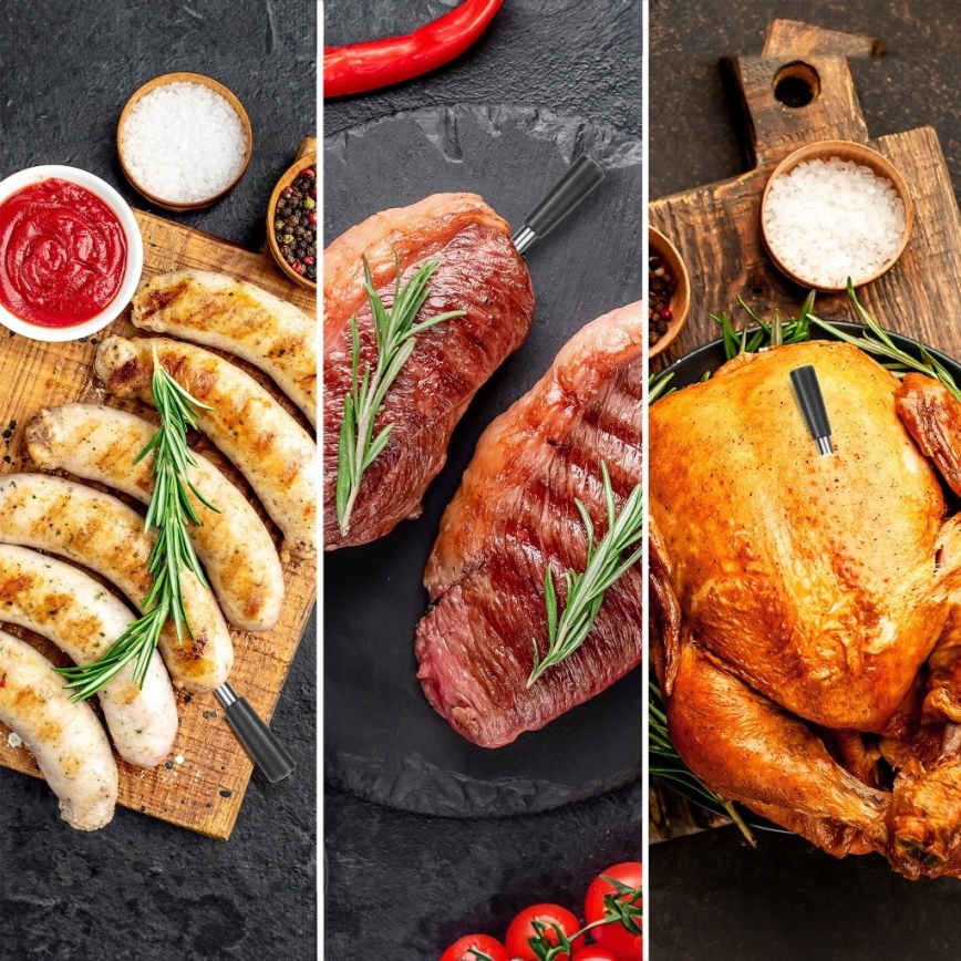 TESLA Electronics - Thermomètre à viande connecté avec base de charge 0-300 °C 5V IP67