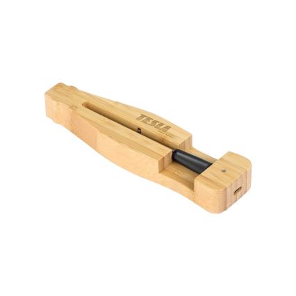 TESLA Electronics - Thermomètre à viande connecté avec base de charge 0-300 °C 5V IP67