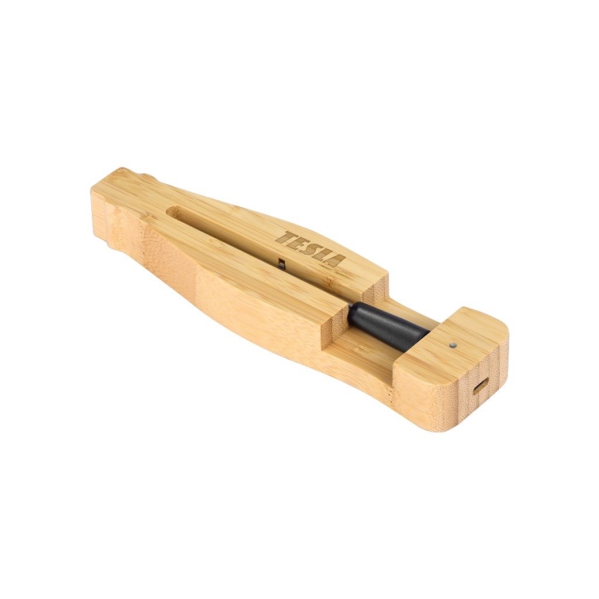 TESLA Electronics - Thermomètre à viande connecté avec base de charge 0-300 °C 5V IP67
