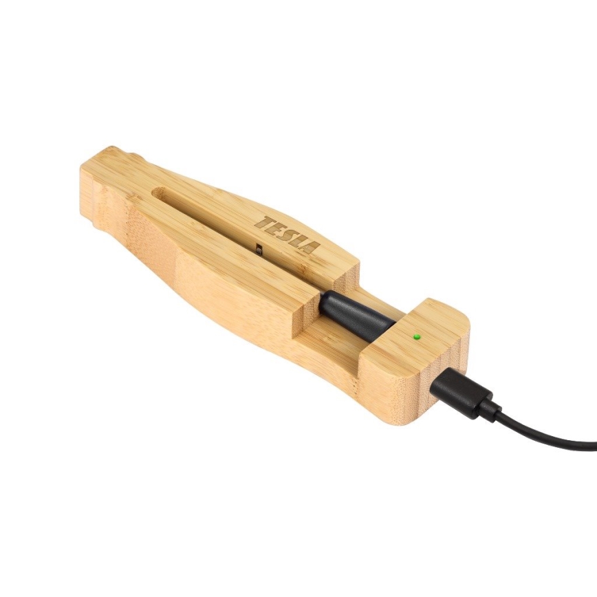TESLA Electronics - Thermomètre à viande connecté avec base de charge 0-300 °C 5V IP67