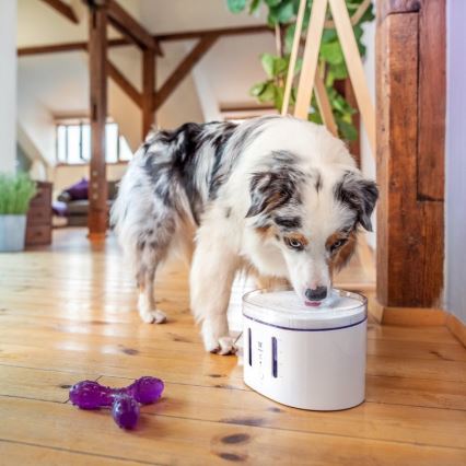 TESLA Smart - Fontaine connectée pour animaux de compagnie avec stérilisation par UV 2,5 l 5V Wi-Fi