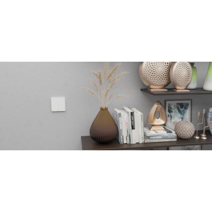 TESLA Smart - Interrupteur maison connectée 1P 230V Zigbee