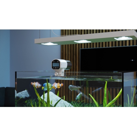 Distributeur Automatique de Nourriture pour Poisson avec Écran LCD - 200ml