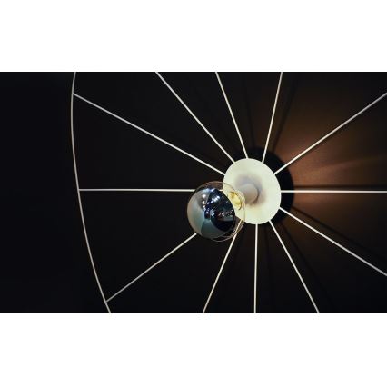 Thoro TH.013 - Plafonnier ESKOLA 1xE27/60W/230V or