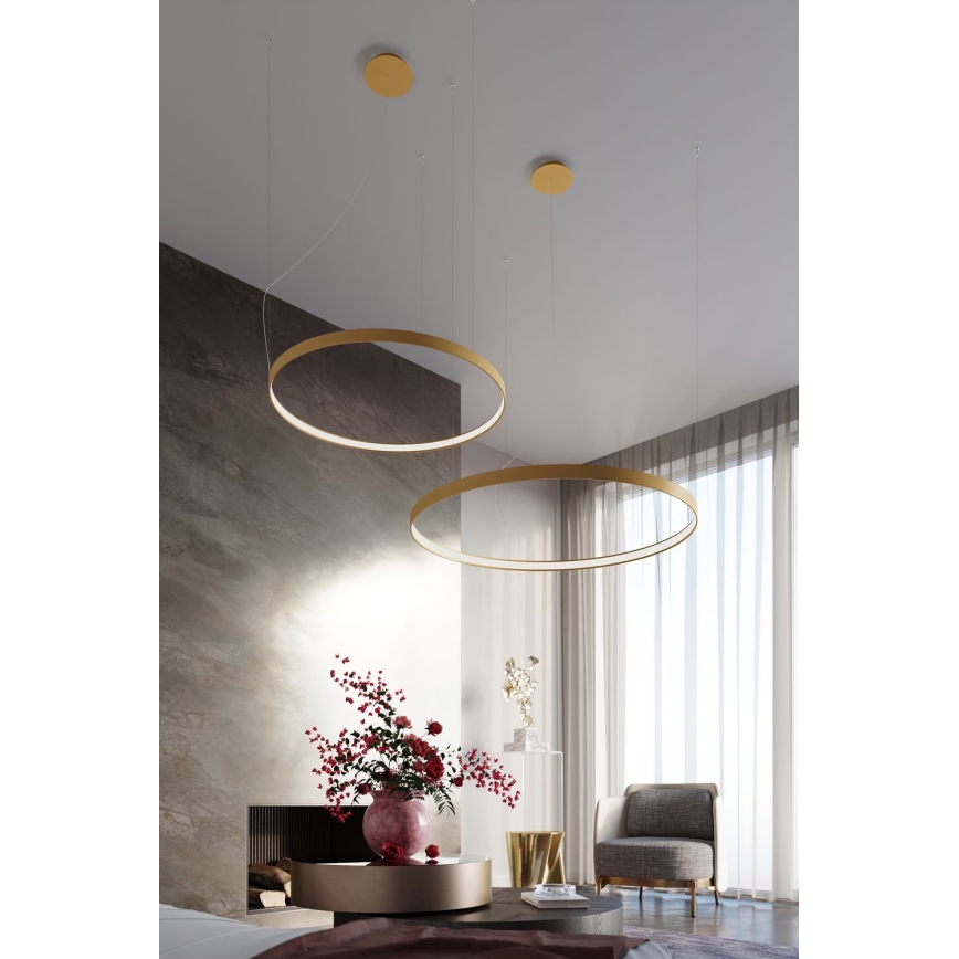Thoro TH.217 - Suspension filaire RIO LED/30W/230V CRI 95 4000K d. 55 cm doré