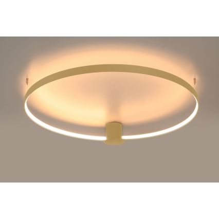 Thoro TH.222 - Plafonnier LED RIO LED/21W/230V IRC 98 3000K Ø 55 cm doré