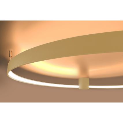 Thoro TH.222 - Plafonnier LED RIO LED/21W/230V IRC 98 3000K Ø 55 cm doré