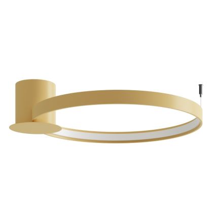 Thoro TH.223 - Plafonnier LED RIO, 30 W / 230 V, IRC 98, 4000 K, Ø 55 cm, doré