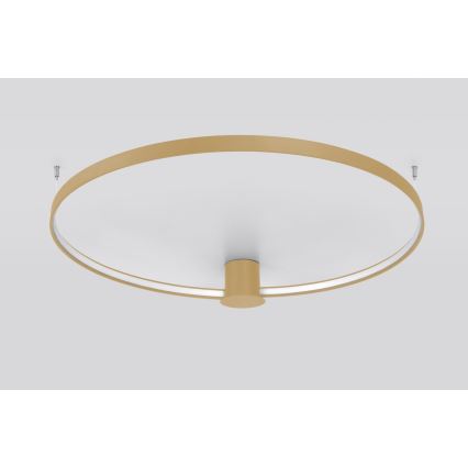 Thoro TH.224 - Plafonnier RIO LED/50W/230V CRI 90 3000K d. 78 cm doré