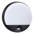 Top Light - Applique murale d'extérieur LED avec détecteur de mouvement et capteur crépusculaire BARI LED/15W/230V 4000K IP54