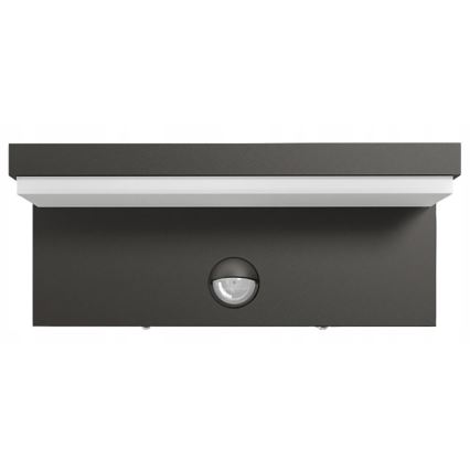 Top Light - LED Applique murale extérieure avec détecteur ELON LED/10W/230V 4000K IP54