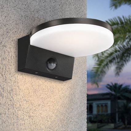 Top Light - LED Applique murale extérieure avec détecteur NOVARA LED/15W/230V IP65 noir