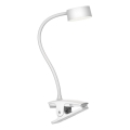 Top Light - LED Lampe de bureau tactile dimmable à pince BELLA LED/4,8W/5V 3000-6500K blanche